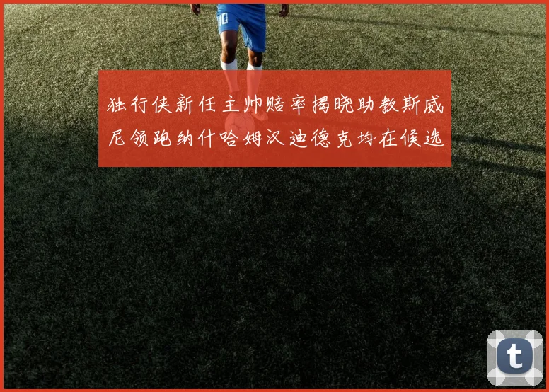 独行侠新任主帅赔率揭晓助教斯威尼领跑纳什哈姆汉迪德克均在候选之中